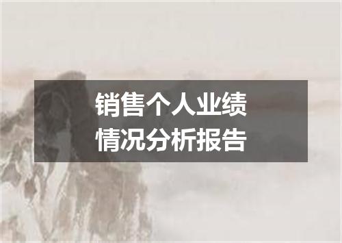 销售个人业绩情况分析报告