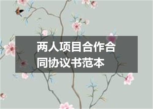 两人项目合作合同协议书范本
