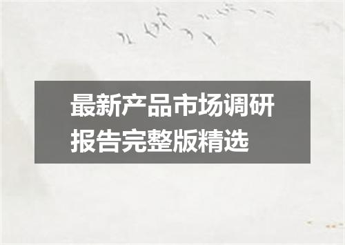 最新产品市场调研报告完整版精选