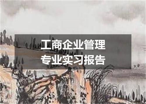 工商企业管理专业实习报告