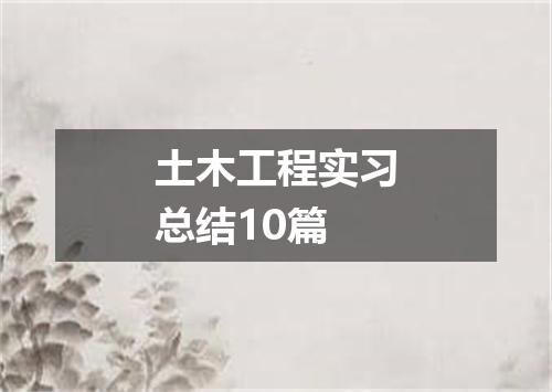 土木工程实习总结10篇