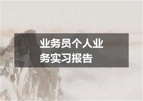 业务员个人业务实习报告