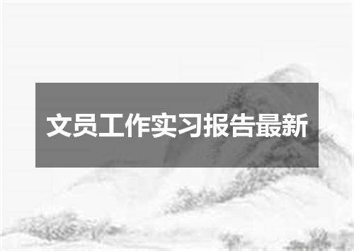 文员工作实习报告最新