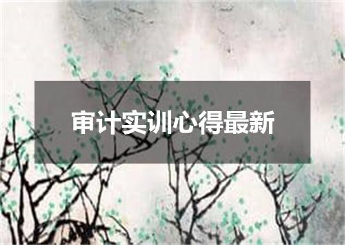 审计实训心得最新