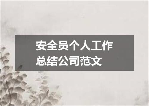 安全员个人工作总结公司范文