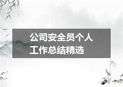公司安全员个人工作总结精选