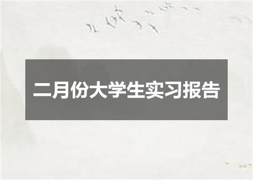二月份大学生实习报告