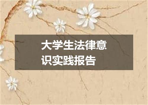 大学生法律意识实践报告