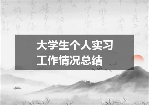 大学生个人实习工作情况总结
