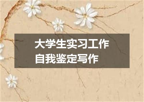 大学生实习工作自我鉴定写作