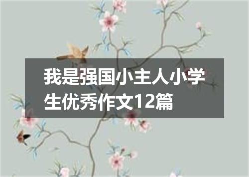我是强国小主人小学生优秀作文12篇