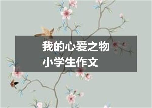 我的心爱之物小学生作文
