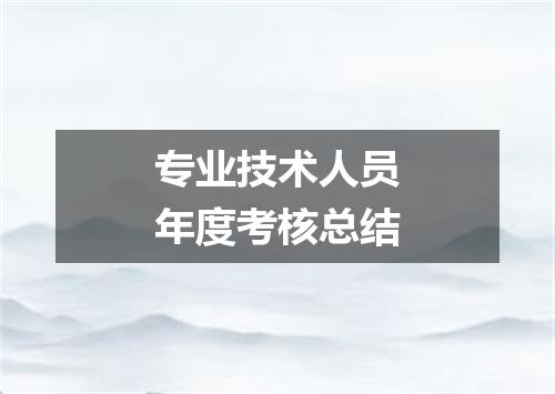 专业技术人员年度考核总结