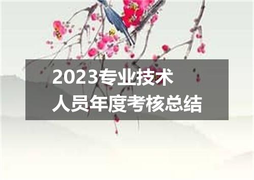 2023专业技术人员年度考核总结