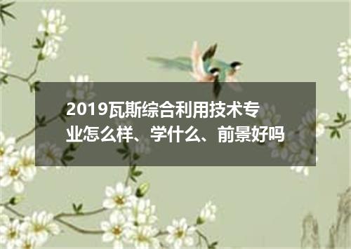 2019瓦斯综合利用技术专业怎么样、学什么、前景好吗
