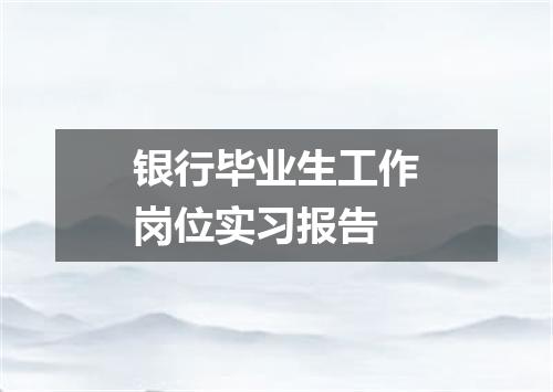 银行毕业生工作岗位实习报告