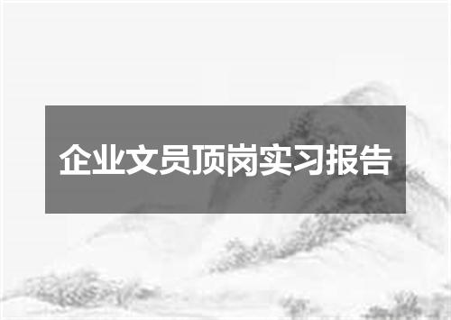 企业文员顶岗实习报告