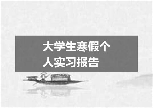 大学生寒假个人实习报告