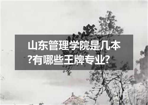 山东管理学院是几本?有哪些王牌专业?