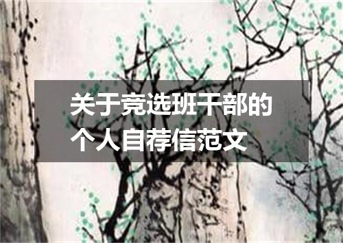 关于竞选班干部的个人自荐信范文
