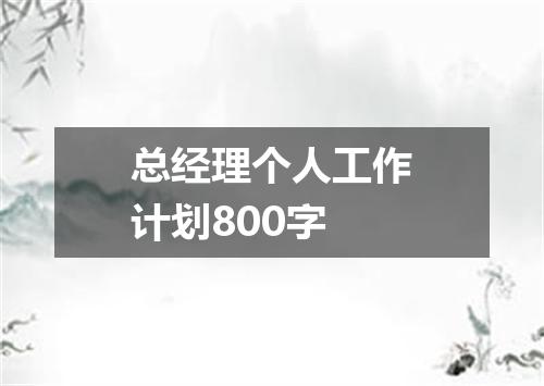 总经理个人工作计划800字