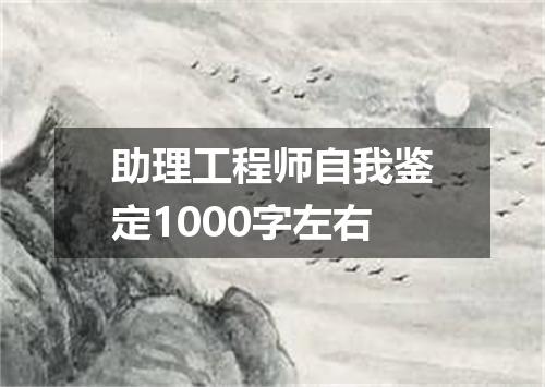 助理工程师自我鉴定1000字左右