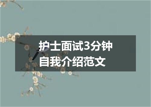 护士面试3分钟自我介绍范文