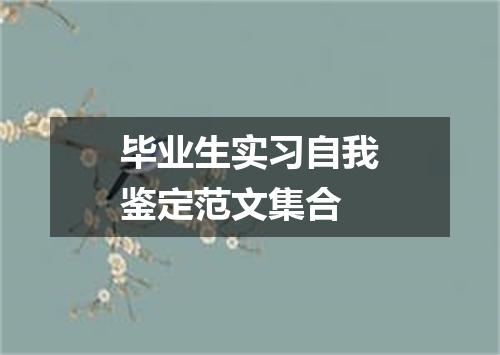 毕业生实习自我鉴定范文集合