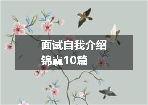 面试自我介绍锦囊10篇