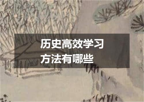 历史高效学习方法有哪些