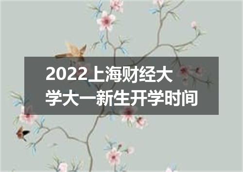 2022上海财经大学大一新生开学时间