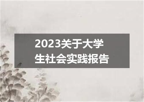 2023关于大学生社会实践报告