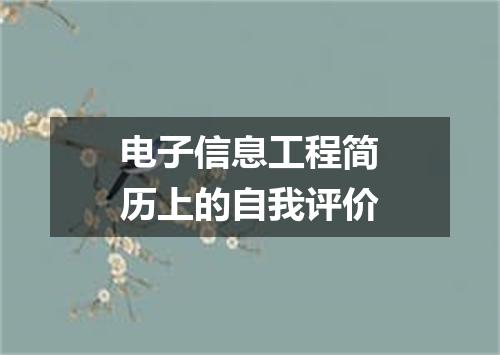 电子信息工程简历上的自我评价