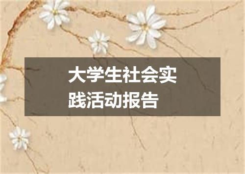 大学生社会实践活动报告