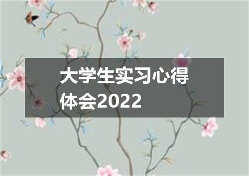 大学生实习心得体会2022