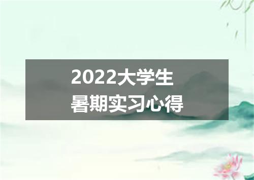 2022大学生暑期实习心得
