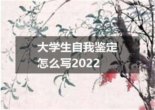 大学生自我鉴定怎么写2022
