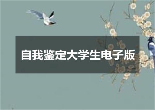 自我鉴定大学生电子版