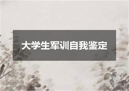 大学生军训自我鉴定