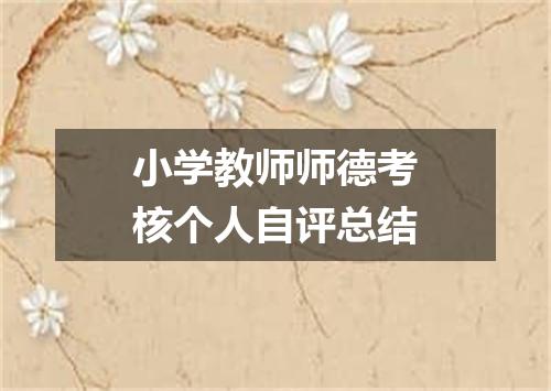 小学教师师德考核个人自评总结