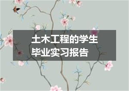 土木工程的学生毕业实习报告