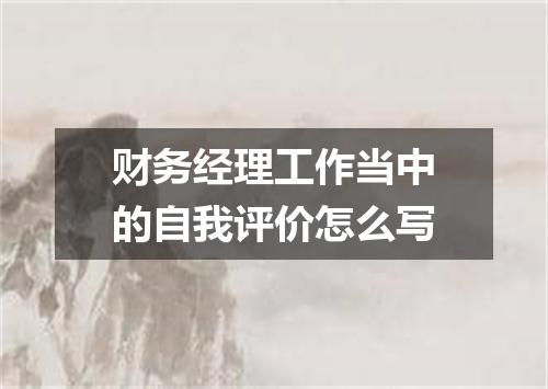 财务经理工作当中的自我评价怎么写