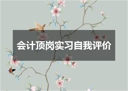 会计顶岗实习自我评价