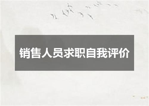 销售人员求职自我评价