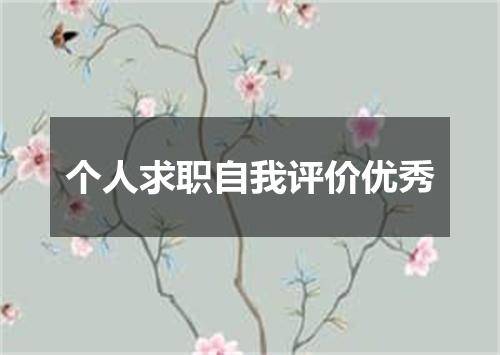 个人求职自我评价优秀