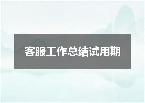 客服工作总结试用期