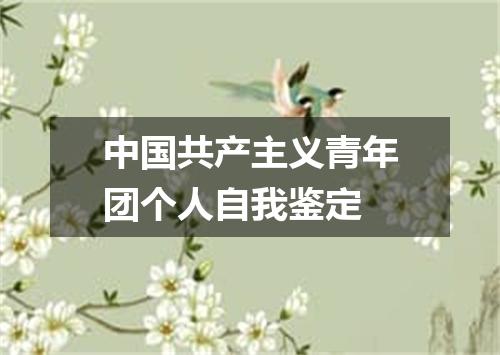 中国共产主义青年团个人自我鉴定