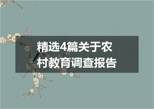 精选4篇关于农村教育调查报告