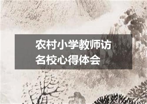 农村小学教师访名校心得体会