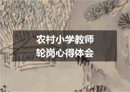 农村小学教师轮岗心得体会